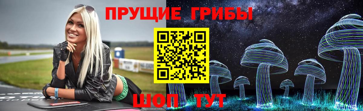 Гатчина  Галлюциногенные грибы MAGIC MUSHROOMS  Вход с VPN 